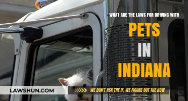 Indiana Pet Passenger Laws: Driving Safely with Your Furry Friends