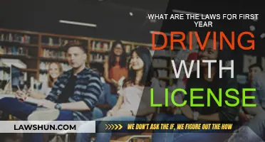 License Laws for First-Year Drivers