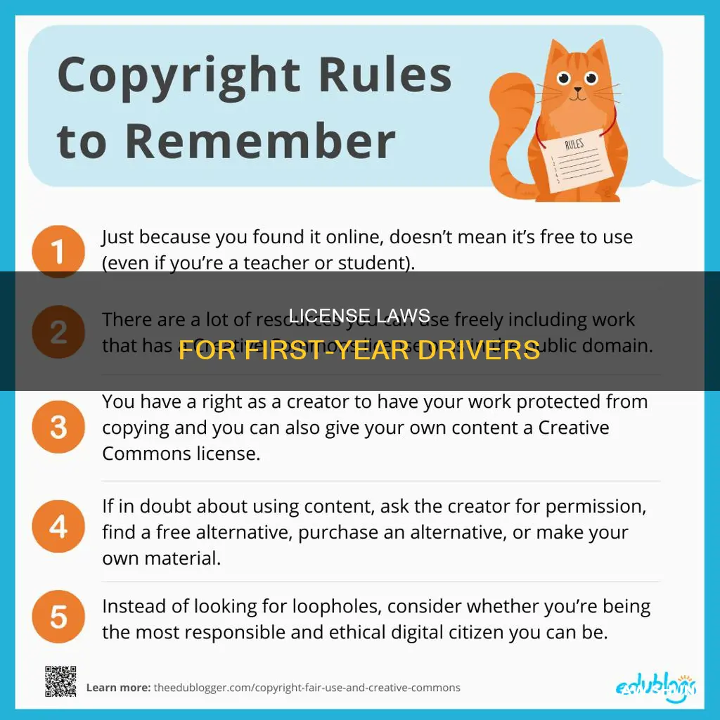 what are the laws for first year driving with license