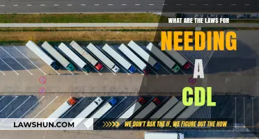 Understanding CDL Requirements: Essential Laws for Commercial Drivers