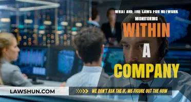 Understanding Legal Boundaries: Network Monitoring Laws for Companies Explained