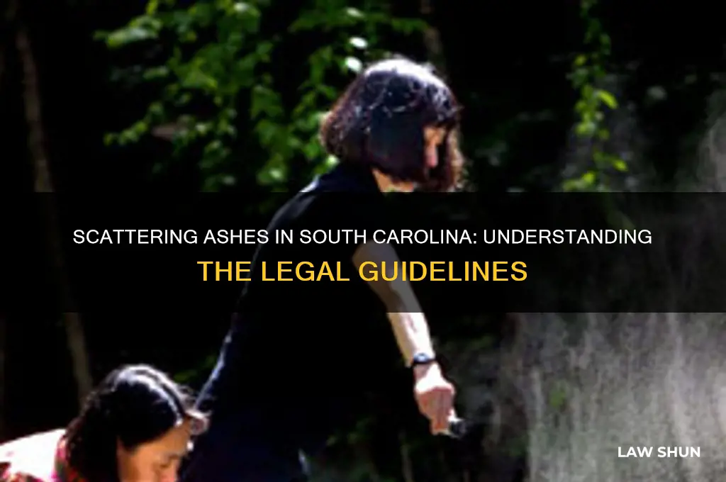 what are the laws for scattering ashes in south carolina