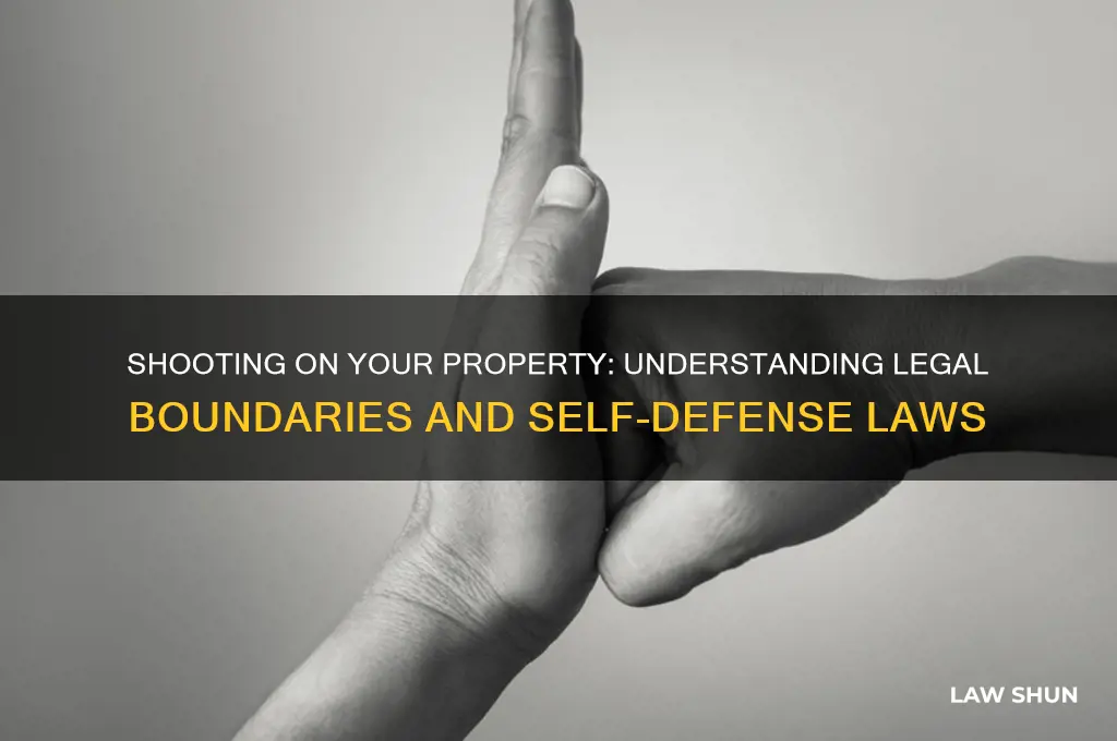 what are the laws for shooting on your property