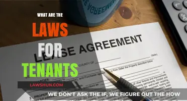 Understanding Tenant Rights: A Comprehensive Guide to Rental Laws