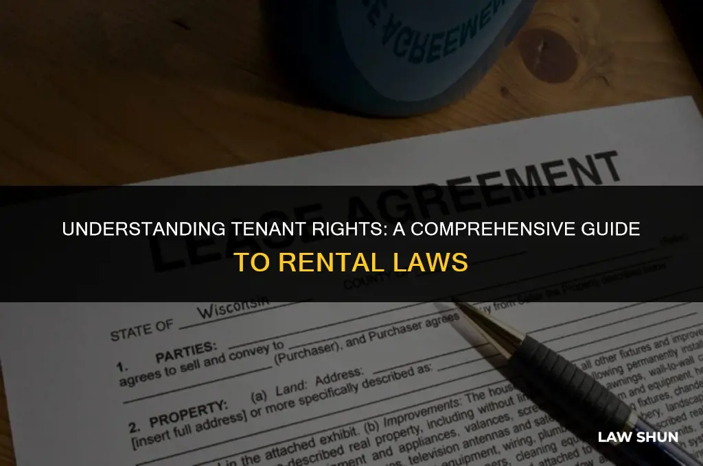 what are the laws for tenants