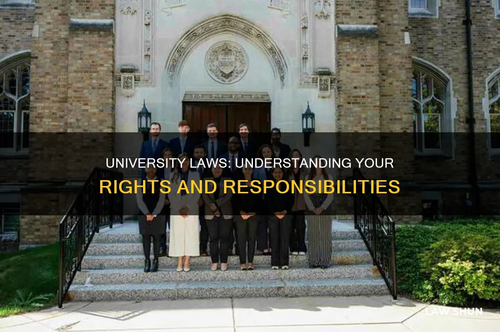 what are the laws for universities