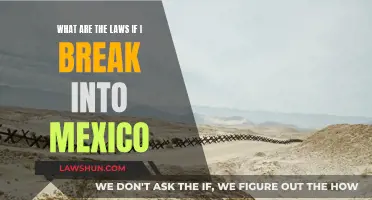 Breaking into Mexico: Understanding Legal Consequences