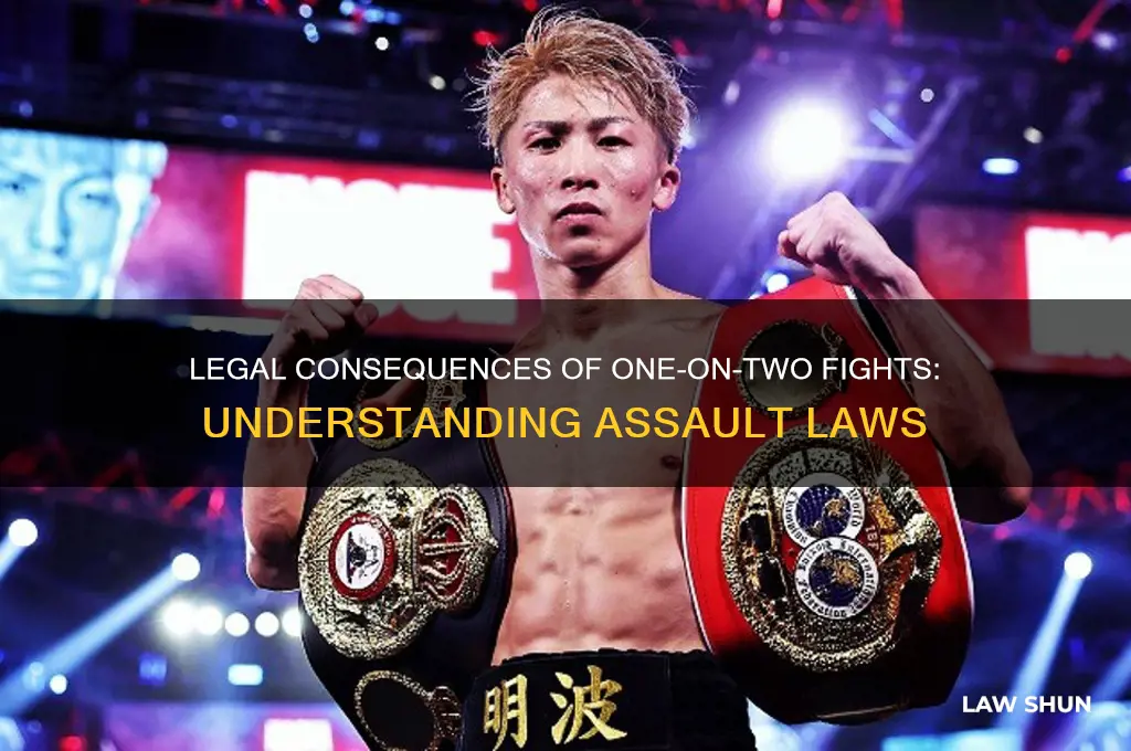 what are the laws if its two people fighting one