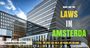 Exploring Amsterdam's Legal Landscape: A Visitor's Guide