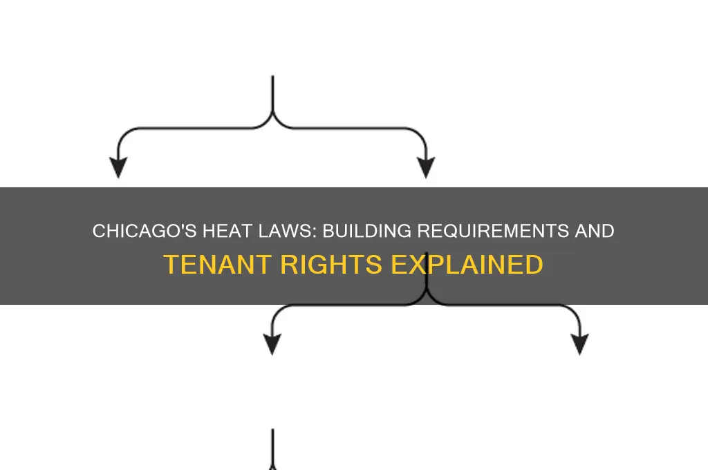 what are the laws in chicago about heat in buildings
