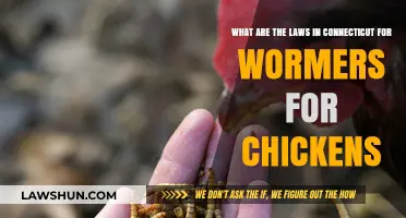 Connecticut's Chicken Wormer Laws: Regulations and Guidelines for Poultry Owners