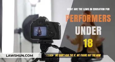 Child Performers' Education Rights: Legal Requirements for Minors in Entertainment
