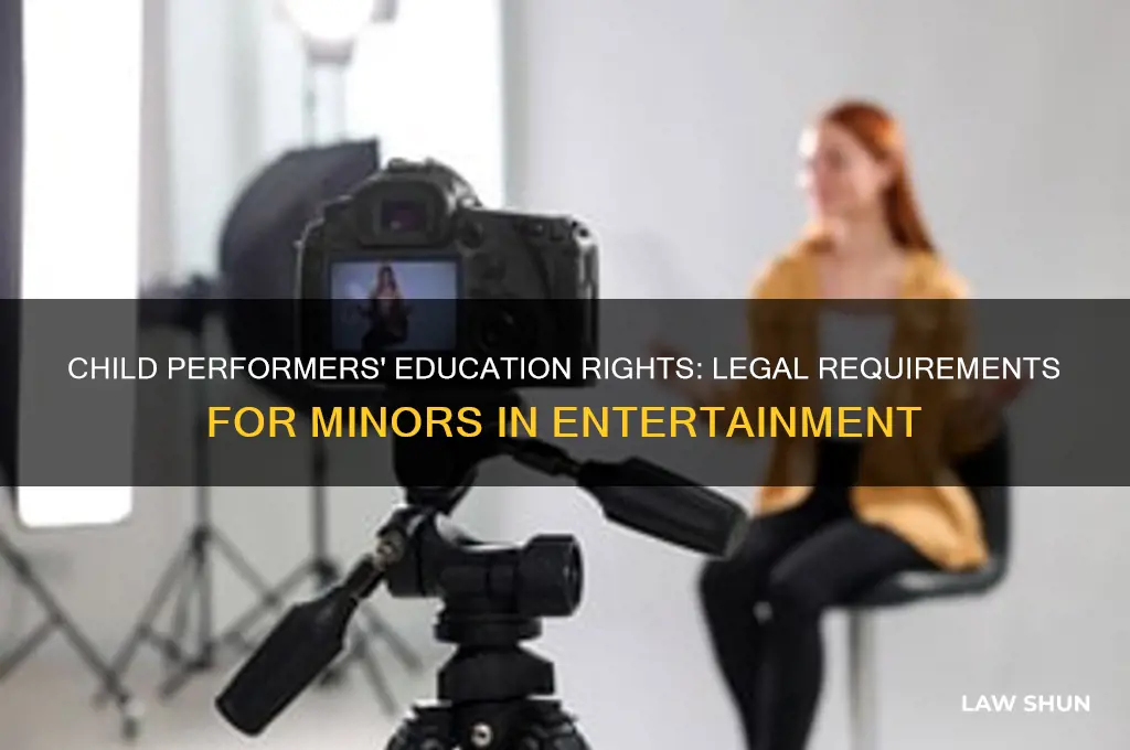 what are the laws in education for performers under 18