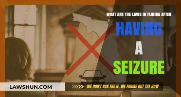 Florida Seizure Laws: Understanding Rights and Restrictions Post-Episode