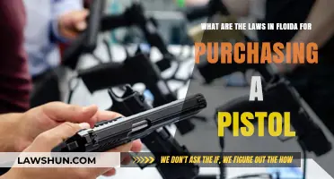 Florida Pistol Purchase Laws: A Comprehensive Guide for Buyers