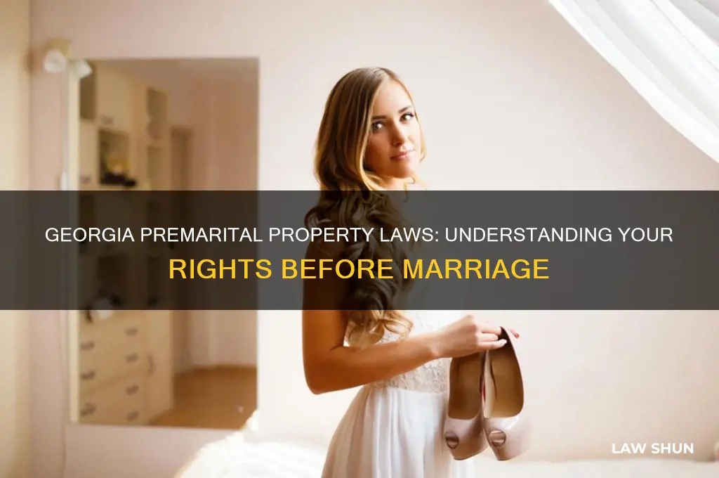 what are the laws in ga on premarital property