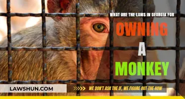 Georgia's Monkey Ownership Laws: What You Need to Know