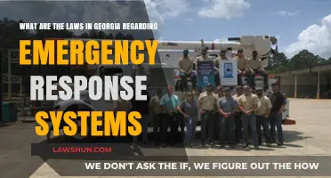 Georgia's Emergency Response Laws: Understanding Legal Frameworks and Protocols
