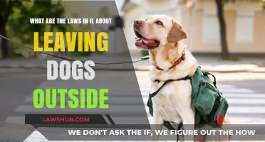 Illinois Laws: Protecting Dogs Left Outdoors – What You Need to Know