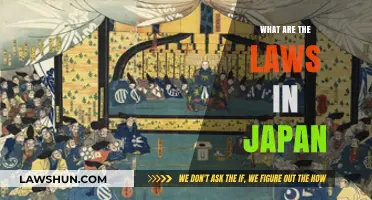 Understanding Japan's Legal Landscape: A Comprehensive Guide
