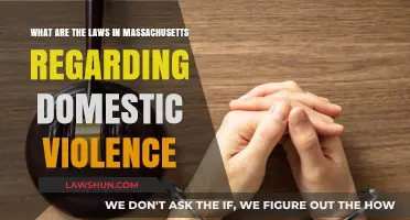Massachusetts Domestic Violence Laws: Understanding Legal Protections and Penalties