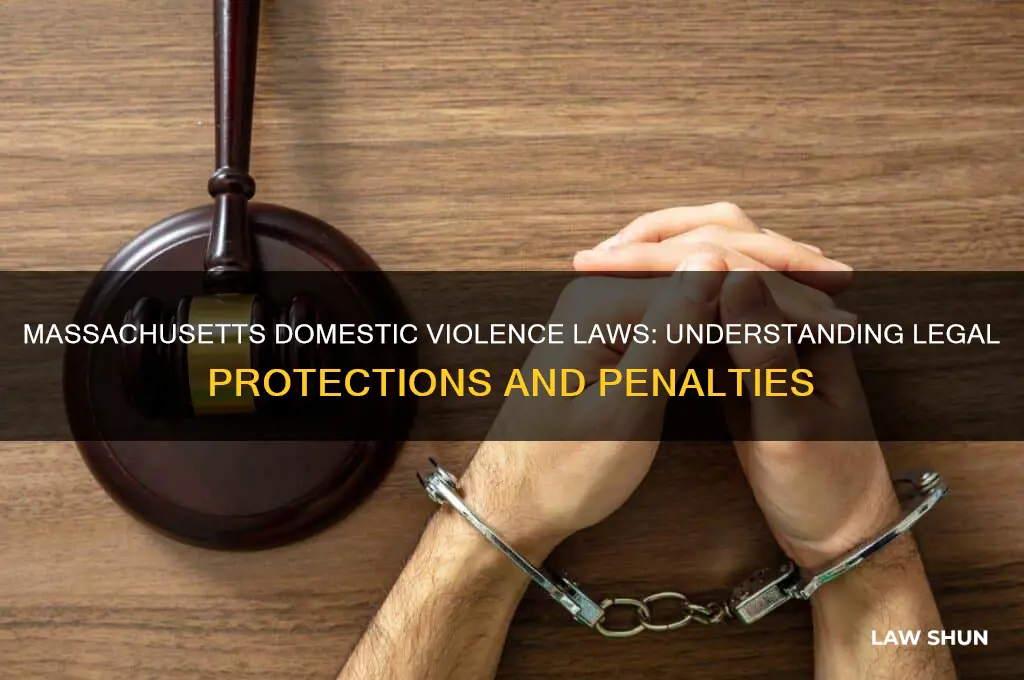 what are the laws in massachusetts regarding domestic violence