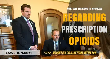 Michigan's Prescription Opioid Laws: Regulations, Penalties, and Patient Rights Explained
