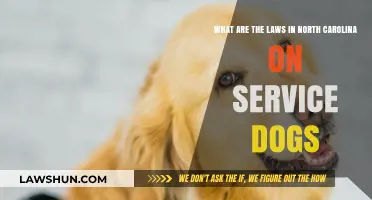 North Carolina Service Dog Laws: Rights, Access, and Public Accommodations