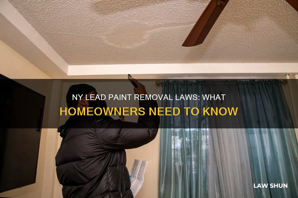 what are the laws in ny to remove lead paint