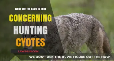 Ohio Coyote Hunting Laws: Regulations, Permits, and Legal Guidelines