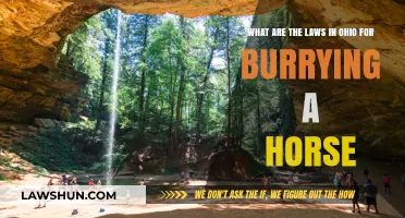 Ohio Horse Burial Laws: Understanding Regulations for Equine Disposal