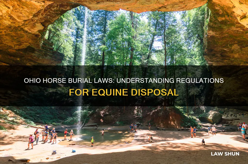 what are the laws in ohio for burrying a horse