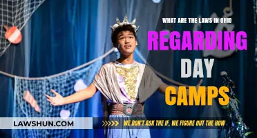 Ohio Day Camp Regulations: Understanding Legal Requirements for Camp Operators