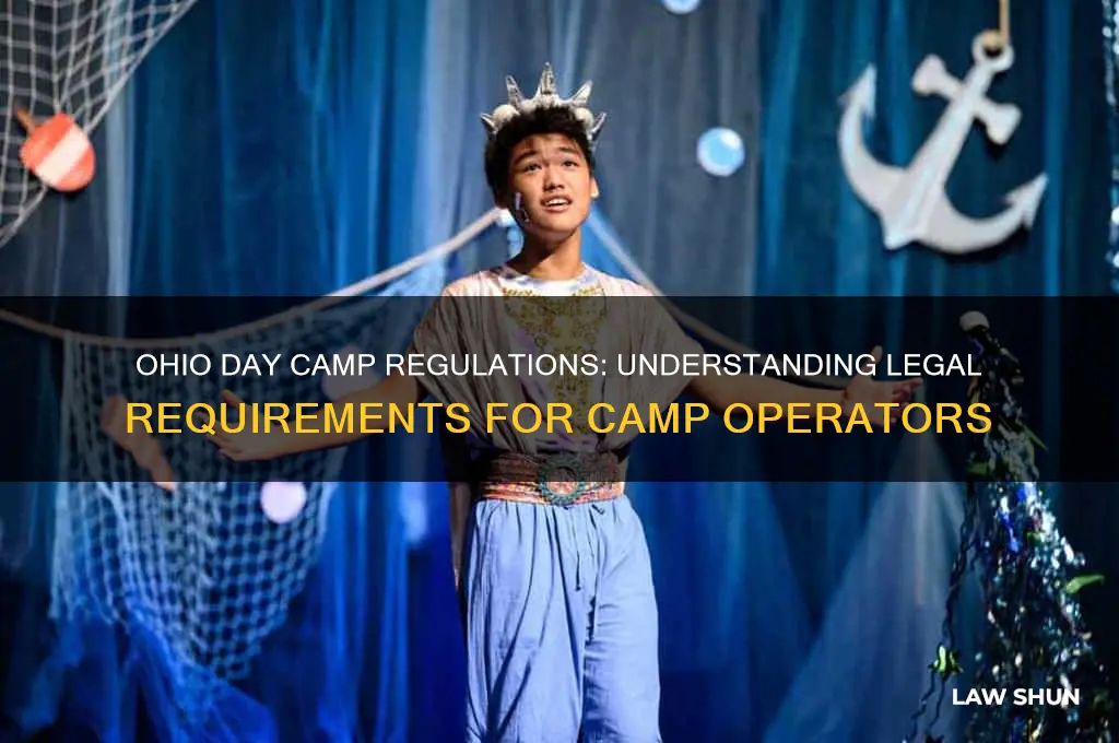 what are the laws in ohio regarding day camps