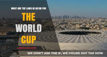 Qatar World Cup 2022: Understanding Local Laws for Visitors