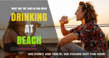 San Diego Beach Drinking Laws: What You Need to Know