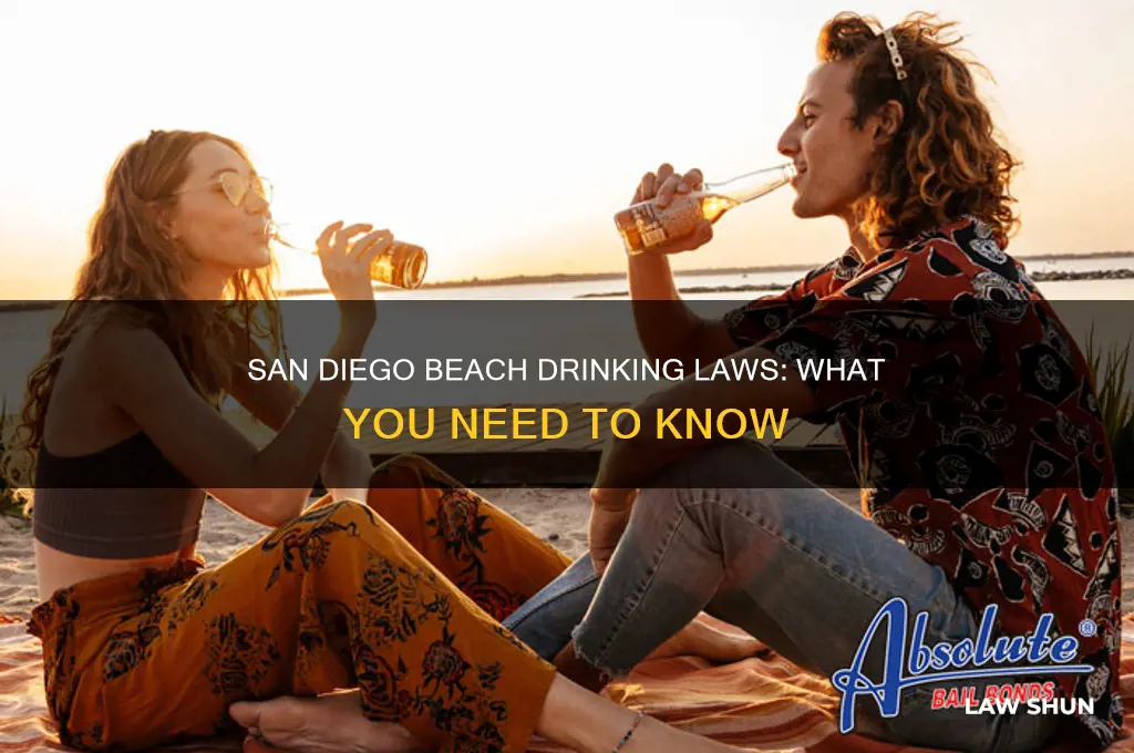 what are the laws in san diego drinking at beach