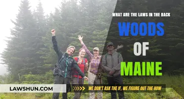 Maine's Backwoods Laws: Understanding Legal Rules in the Wilderness