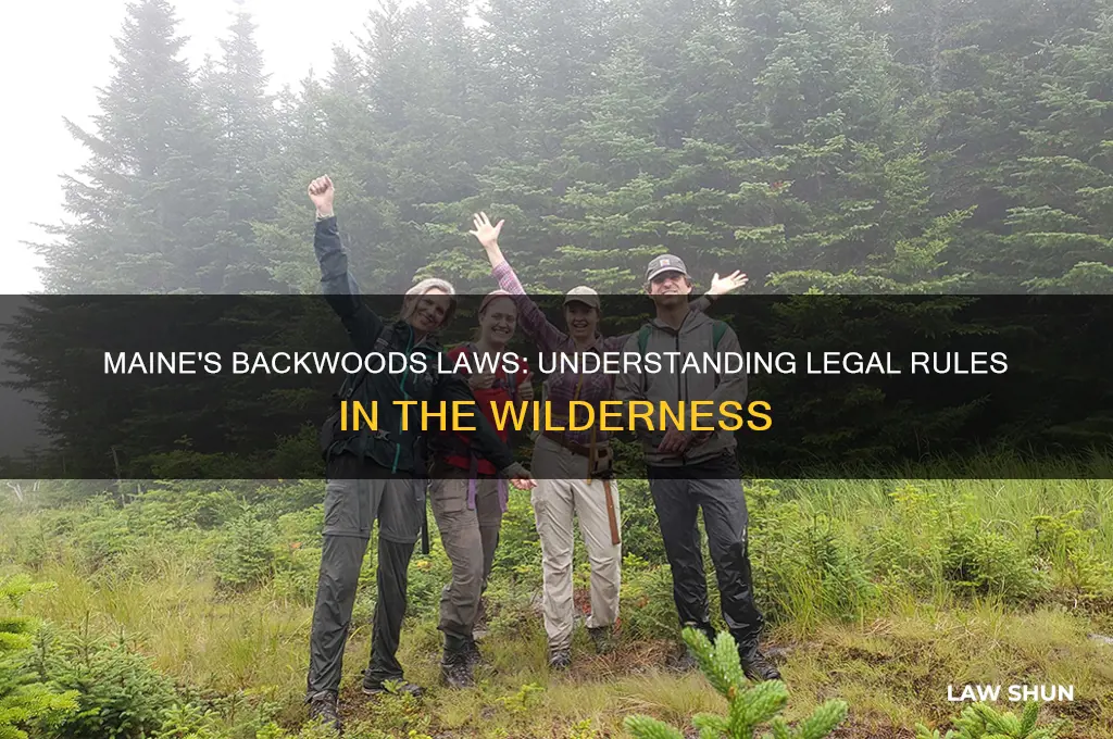 what are the laws in the back woods of maine