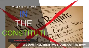 Constitution Laws: Understanding the Fundamentals