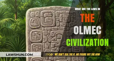 Exploring the Legal Framework of the Ancient Olmec Civilization