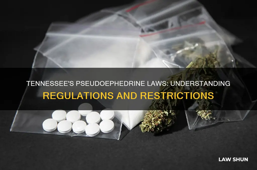 what are the laws in tn pertaining to pseudoephedrine regulation