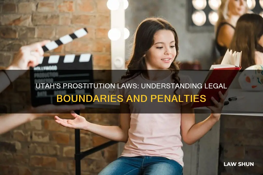 what are the laws in utah regarding to prostitutes