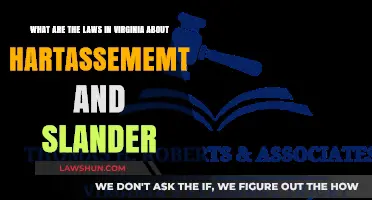 Virginia's Defamation Laws: Understanding Harassment, Libel, and Slander