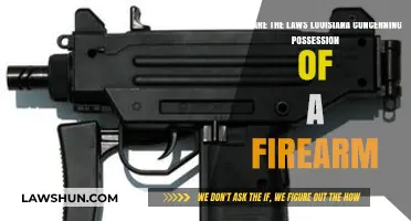 Louisiana Firearm Possession Laws: Understanding Your Rights and Restrictions