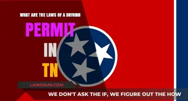 Understanding Tennessee's Driving Permit Laws: A Comprehensive Guide for New Drivers