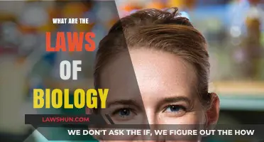 Exploring the Fundamental Laws Governing Biological Systems