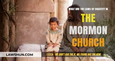 Understanding Mormon Chastity Laws: Principles, Practices, and Beliefs Explained