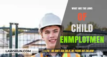 Understanding Child Employment Laws: Protecting Young Workers' Rights and Safety