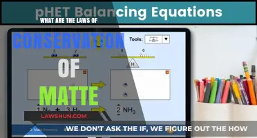 Understanding the Laws of Conservation of Matter: Principles and Applications